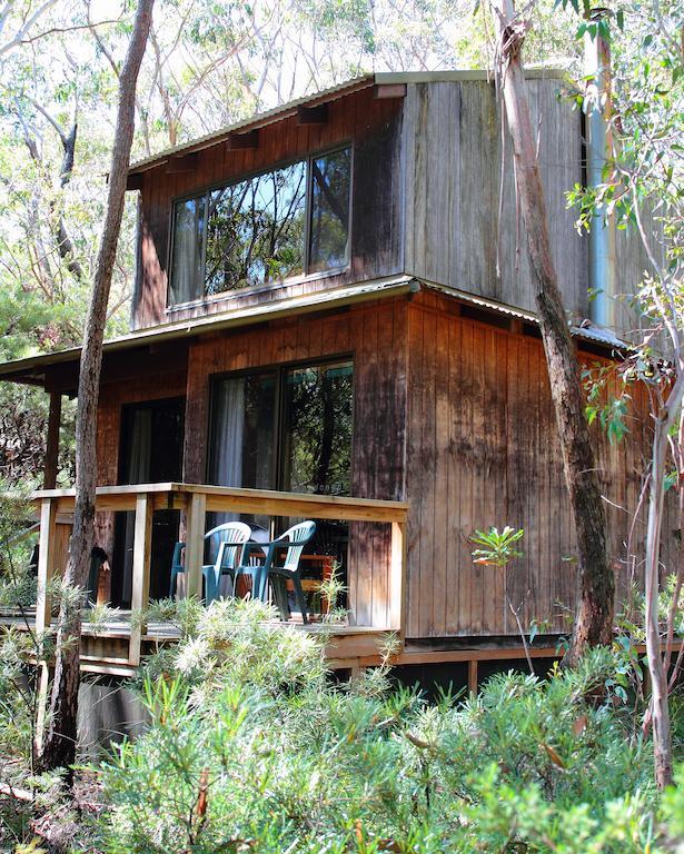 Jemby Rinjah Ecolodge Blackheath Room photo